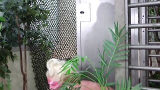 Lesben Spiele Extrem Lisa und Linda - 2 image