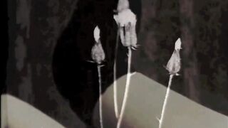 Dark Lantern Entertainment presents 'Vintage Lesbians' from My Secret Life, The Erotic Confessions of a Victorian English Gentleman - 2 image