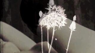 Dark Lantern Entertainment presents 'The Sins Of Our Mothers' from My Secret Life, The Erotic Confessions of a Victorian English Gentleman - 2 image