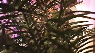 Two hot babes work their pussies until they scream with pleasure - 2 image