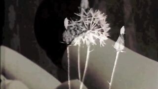 'Vintage Pregnant Beauty' Dark Lantern Entertainment presents My Secret Life, the 19th century diaries of an English gentleman - 2 image