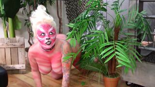 Cats in the cage lick each other - 1 image