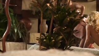 Tight butt chick duo enjoy sucking each other's pussy - 2 image