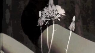 Vintage Cunnilingus - 2 image