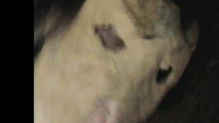 Texas Dildo Masquerade #1 - A sexual parody of a famous horror movie - 6 image