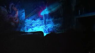 rainbow lightning (P2) - 15 image