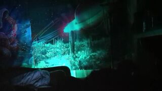 rainbow lightning (P2) - 2 image