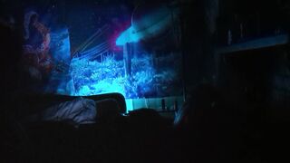 rainbow lightning (P2) - 4 image