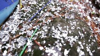 CARNAVAL MESSY LESBIAN THREESOME - 14 image