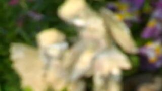 Lesbian sex for the horny and sexy Charlie Laine and Betty - 7 image