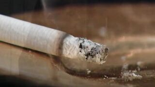 Two lesbians get to know each other at the bar where they - 3 image