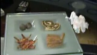 Lesben befriedigen sich nach einem Glas secco - 1 image