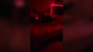 Real Lesbians Hot Strap On Fuck and Vibrator Orgasm - 3 image