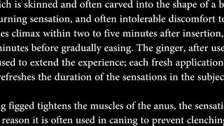 Sensual Lesbian Anal Ginger Figging Massage, burning anal pain with ice cold cubes - 2 image