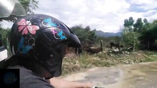 he gave me a rich blowjob in the bush - 3 image