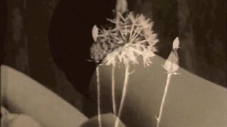 My Secret Life, Vintage Bisexual Taboo - 2 image