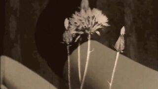 Dark Lantern Entertainment presents 'The Sins Of Our Ancestors' from My Secret Life, The Erotic Confessions of a Victorian English Gentleman - 2 image