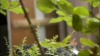 Gorgeous cuttie likes getting her wet juicy cunt licked and by her play mate - 14 image