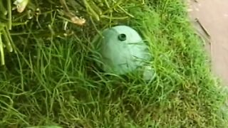 Horny babe spreads her legs wide and gets her wet cunt licked - 1 image