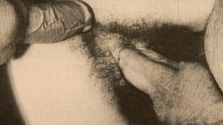 My Secret Life, Top Twenty Vintage Double Blowjobs & Double Penetration - 5 image