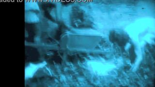 Pornostalgia, Vintage Lesbians - 8 image