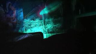 Rainbow Lightning (P4 - FINALE)