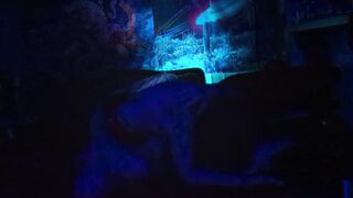 Rainbow Lightning (P4 - FINALE) - 12 image