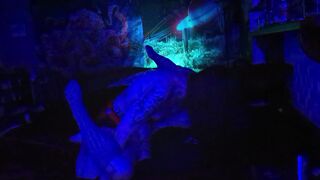 Rainbow Lightning (P4 - FINALE) - 15 image