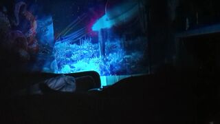 Rainbow Lightning (P4 - FINALE) - 2 image