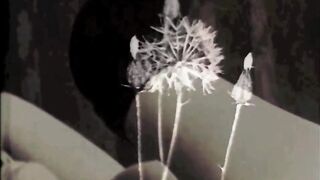 Dark Lantern Entertainment presents 'Christmas At Home With Mother' from My Secret Life, The Erotic Confessions of a Victorian English Gentleman - 2 image