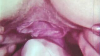 Pornostalgia, In The Shadows Of The Swinging Sixties - 14 image