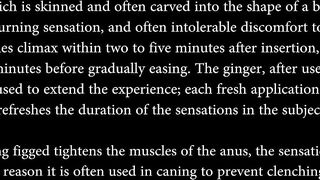 Sensual anal figging massage - 2 image