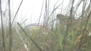 Exhibitionist Wife 484 Part 5 - Mrs Ginary and Mrs Nikki Brooks Teasing Nude Beach Voyeur! Spreading legs and teasing cocks in public! - 8 image