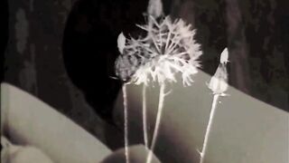 Vintage Dark London, In The Shadows Of The Roaring Twenties - 2 image