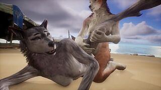 Two wolves play with each other on the beach - Wildlife - 1 image