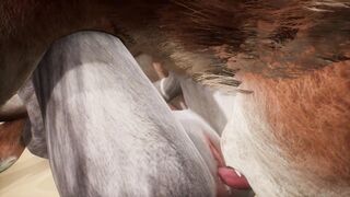 Two wolves play with each other on the beach - Wildlife