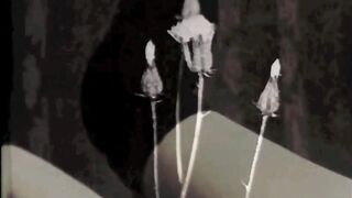 Vintage Pornostalgia, The Ghosts Of Christmas Past - 2 image