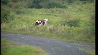 stiff mother shows daughter what you can put in the pussy