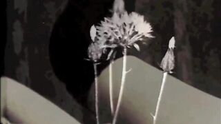 Vintage Pornostalgia, The Ghosts Of Christmas Past, Christmas Eve 1939 - 2 image