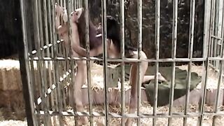 Hot pussies of the eager and provocative lesbians scene 03 - 10 image