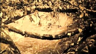 Dark Lantern Entertainment Presents 'The Dragonfly' - 6 image