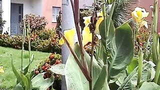 Both of these lesbians have sexual fantasies to try out sc - 3 image