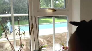 Threesome Lesbian Mature with Lacey Starr - 5 image