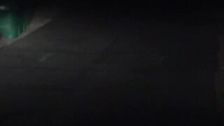 Seduced By a Vampire - 2 image