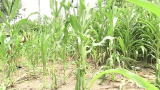 Inexperienced skinny teen girls like to play outdoors - lesbian gals - 1 image