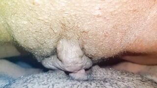pussy - 3 image