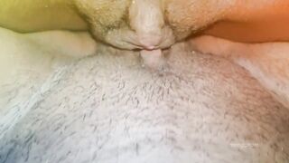pussy - 4 image