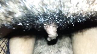 Tribbing compilation - 15 image