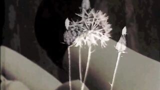 Vintage Taboo Hairy Pussy Lesbians - 2 image