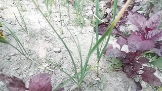 On a rainy night, the elder stepbrother gave sex Bangla hot choti golpo - 10 image